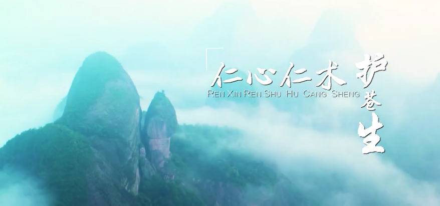 MV | 新寧縣人民醫(yī)院《仁心仁術(shù)護(hù)蒼生》